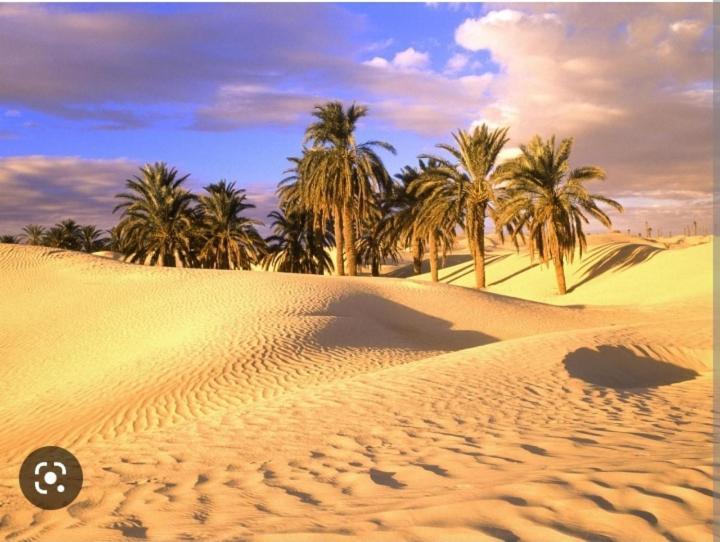 Riad Sable Chaud Marrakesh Luaran gambar